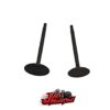 JA Modified Nissan TB48 Stainless Steel Black Nitride Intake Valves