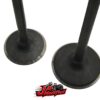 JA Modified Nissan TB48 Stainless Steel Black Nitride Intake Valves